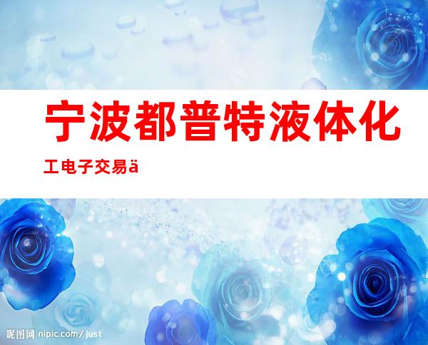 宁波都普特液体化工电子交易中心有限公司