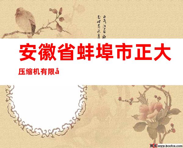安徽省蚌埠市正大压缩机有限公司