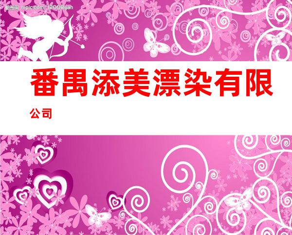 番禺添美漂染有限公司